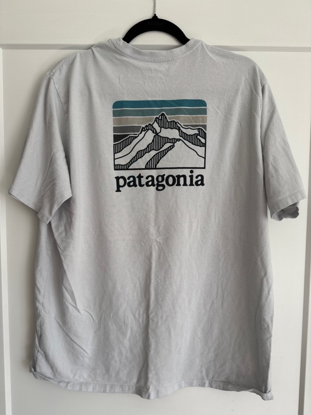 Patagonia Short-Sleeve Pocket Tee - Picture 3 of 3